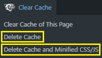 delete cache and Minified CSSJS