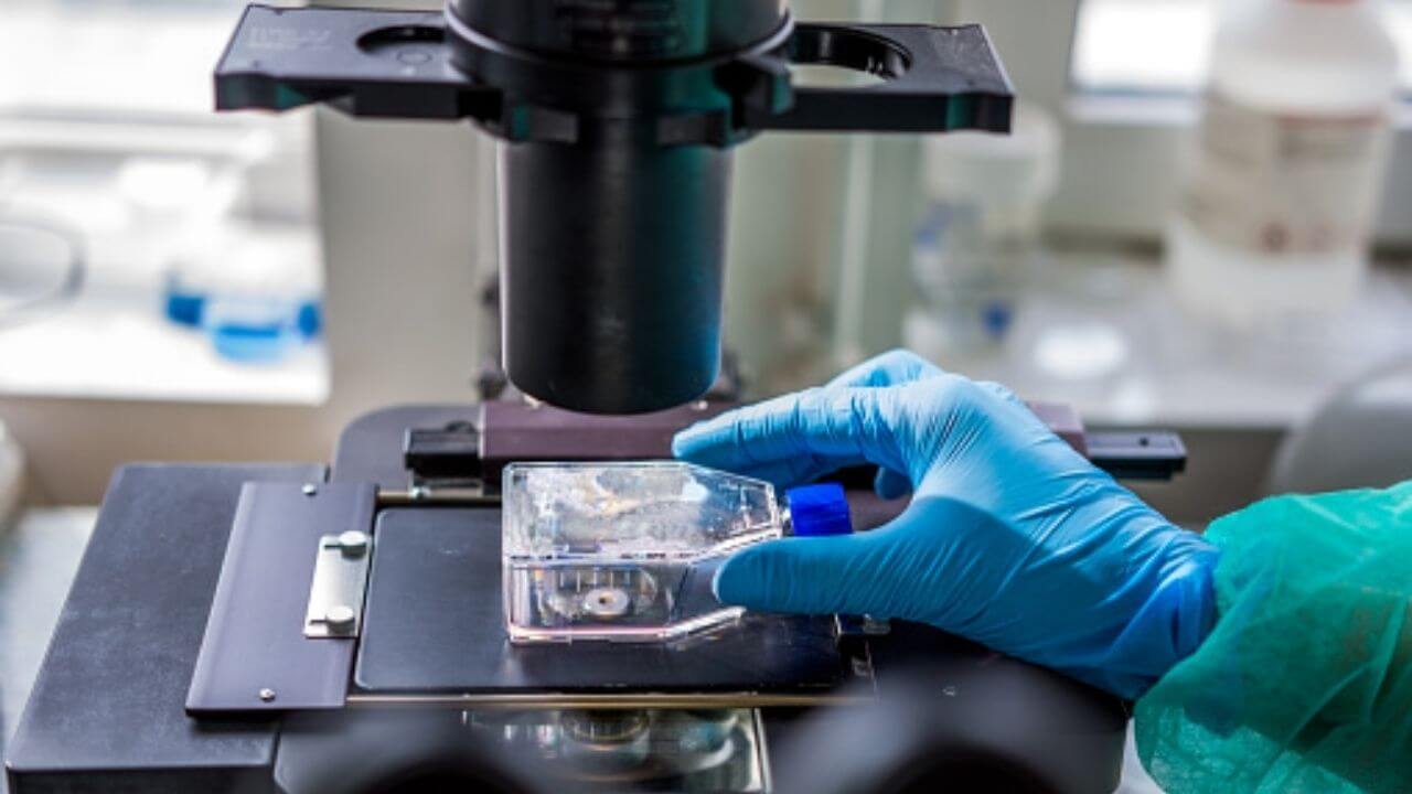 What Are The Steps In Getting Research Published TechAger