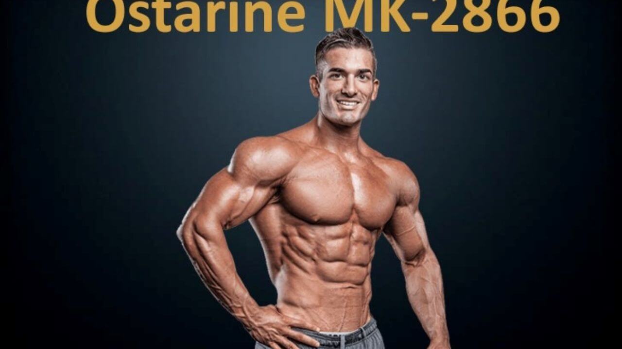 Ostarine MK 2866 Results SARM Alternatives, Side Effects & Dosage Before and After