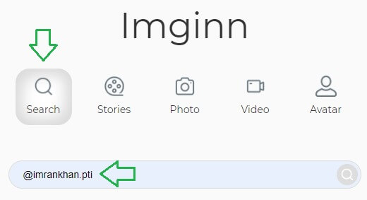 How to Use Imginn (Easy Method)