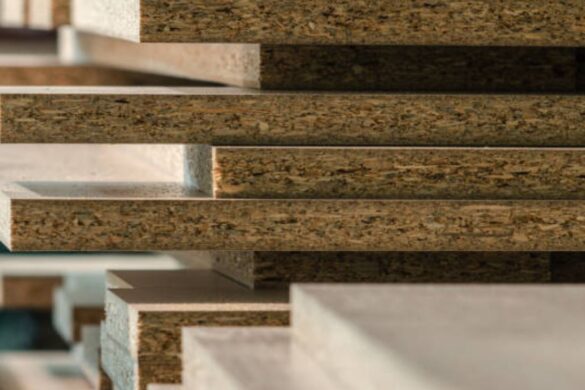World of Wood Exploring Essential Building Materials