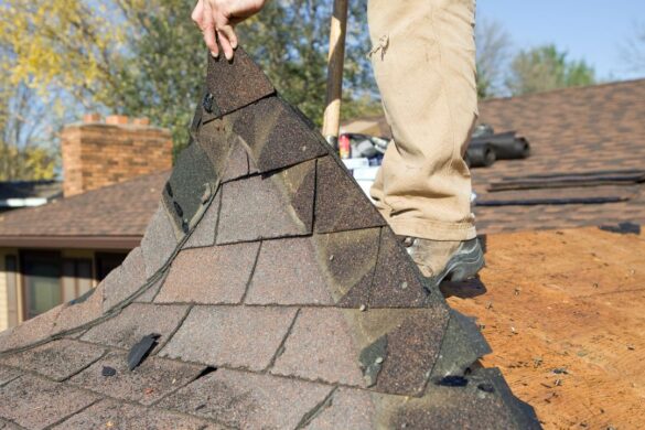 3 Best Methods for Roof Mould Removal