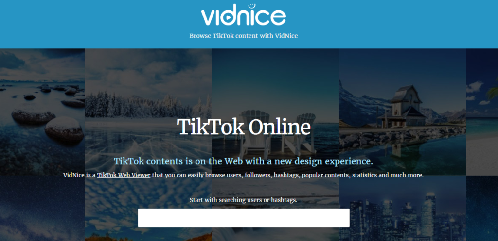 Vidnice TikTok Web Viewer Online and Analytics