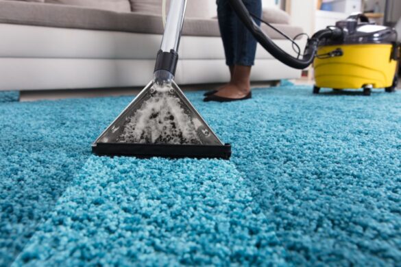 From Wool to Synthetic Expert Strategies for Cleaning All Carpet Varieties