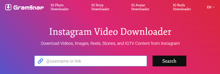 Paste the username in gramsnap search box