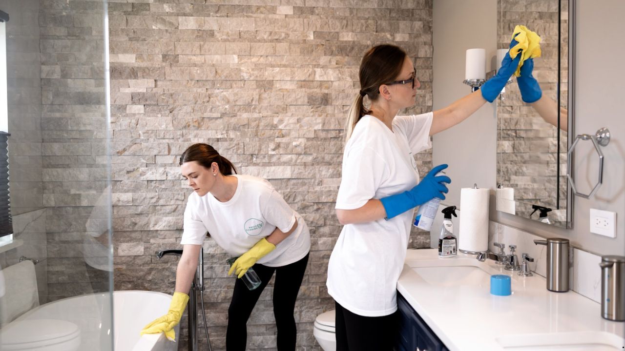 Top Cleaning Products by Category (Used by PRO Cleaners) | TechAger